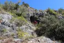 Cova de l'ós - Miniatura 1, Calafell