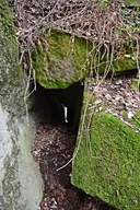 Cova del Mas Salou - 缩略图 3, Masies de Roda, Les