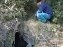 Avenc dels Ossos - Miniatura 1, Arbolí