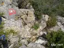 Avenc de les Arrels - Miniatura 2, Albinyana