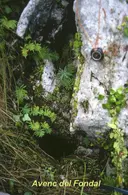 Avenc del Fondal - Miniatura 1, Begues