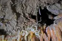 Cova Fumada - Thumbnail 11, Castelldefels