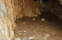 Cova de la Font Calenta - Thumbnail 5, Berga