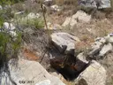 Avenc Raspós Petit - Miniatura 3, Begues