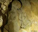 Cova de la Font - Миниатюра 6, Febró, La