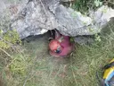 Cova de Ca l'isidret - Miniatura 2, Vallcebre