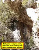 Cova de Montglòs - Miniatura 3, Cellera de Ter, La
