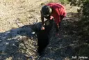 Avenc d'en Casimiro - Thumbnail 2, Febró, La