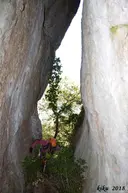 Cova Gran de les Fogueroses - Miniatura 15, Sant Llorenç Savall