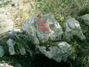 Avenc Josep Pasanau - Miniatura 1, Vallirana