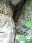Cova de la Barca - Thumbnail 2, Avinyonet del Penedès