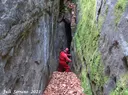 Bora del Camí - Miniatura 5, Esquirol, L'
