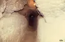 Cova del Toll - Miniatura 9, Moià