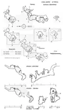 Cova-avenc d'Ordal - Miniatura 3, Vallirana