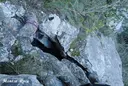 Avenc de la Via Nadal - Miniatura 4, Mont-ral