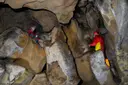 Cova dels Muricecs - Miniatura 6, Llimiana