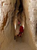 Forat Florés - Miniatura 5, Avellanes i Santa Linya, Les