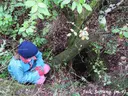 Avenc de l'Arbre - Miniatura 1, Mont-ral