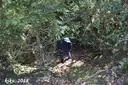 Forat de la Begonya - Miniatura 1, Susqueda