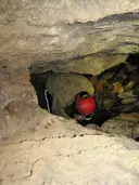 Cova Terrera - Miniatura 6, Alfara de Carles