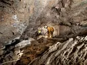 Cova de Santufa - Miniatura 6, Pont de Bar, El