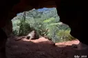 Coves Nº2-3 de Can Mas - Thumbnail 7, Torrelles de Llobregat