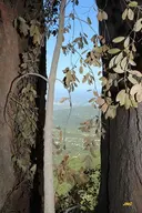 Escletxa Gallaret-capeta - Miniatura 4, Marganell