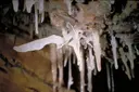 Cova Marigot - Thumbnail 7, Benifallet