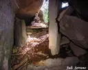 Cova de la Sala - Miniatura 8, Mont-ral