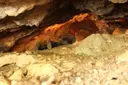 Cova del Piu Quino - Thumbnail 2, Castellví de la Marca