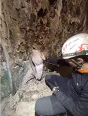 Forat de la Faixa de Roca Roja - Miniatura 9, Mas de Barberans