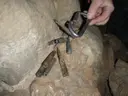 Avenc de la Vinyeta - Miniatura 9, Horta de Sant Joan