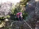Graller de Gurp - Miniatura 11, Tremp