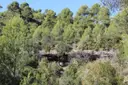 Bauma de la Guillotera - صورة مصغرة 1, Sagàs