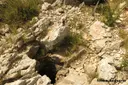 Avenc Ps-2 - Thumbnail 1, Vallirana