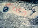 Cigalera de l'Obaga de Baleran - Miniatura 2, Alt Àneu