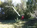 Avenc M-1 - Thumbnail 4, Baix Pallars