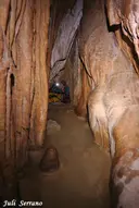 Cova-avenc del Mas d'en Toni - Miniatura 10, Mont-ral