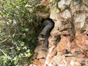 Cova Bonica - Miniatura 5, Alcanar