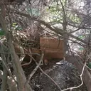 Cova dels Ullals de la Carrova - Miniatura 1, Amposta