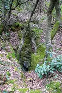 Cova de les Guilloteres - Thumbnail 1, Amer