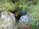 Avenc de l'Espera - Thumbnail 3, Vallirana