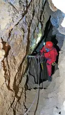 Cova Patxarro - Miniatura 2, Avellanes i Santa Linya, Les
