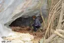 Cova Nº1 de l'Escudelleta - Miniatura 2, Capafonts
