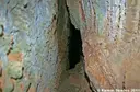 Avenc dels Free - Miniatura 3, Matadepera