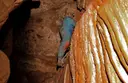 Cova dels àngels - Thumbnail 2, Conca de Dalt