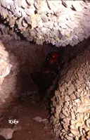 Cova del Cristall - Miniatura 2, Àger