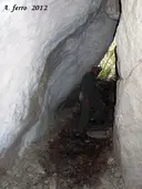 Cova Gran - Miniatura 2, Arbolí
