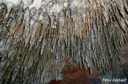 Cova del Dos - Miniatura 3, Benifallet