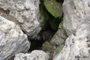 Avenc del Campament - Thumbnail 4, Castellar del Riu